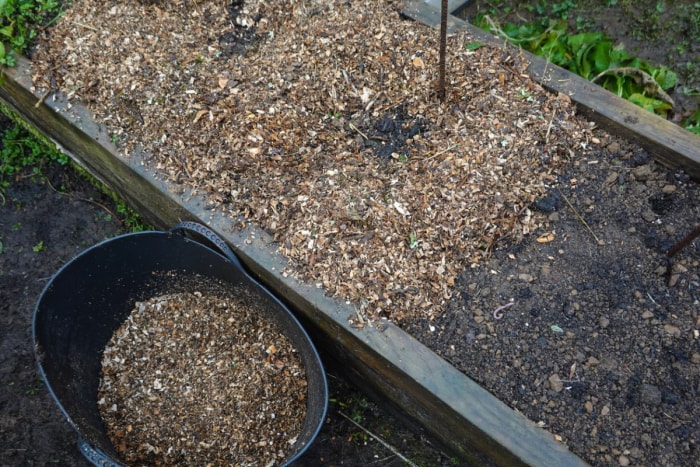 Un seau de bois déchiqueté et d'autres matières organiques est disposé dans un lit de jardin surélevé.