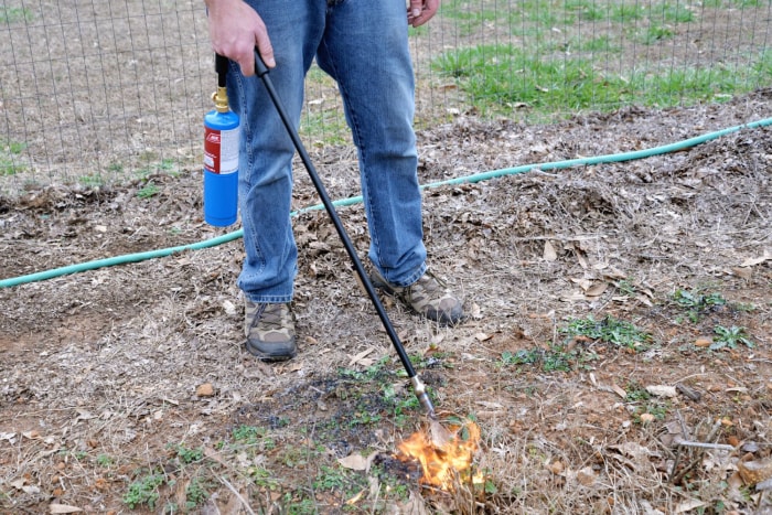 Les meilleures options de torches à mauvaises herbes