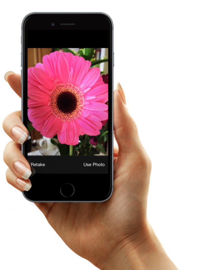 Les meilleures applications de jardinage et d'identification des plantes pour votre smartphone