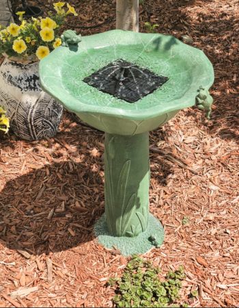 Fontaine à jet dans un bol de bain d'oiseaux solaire