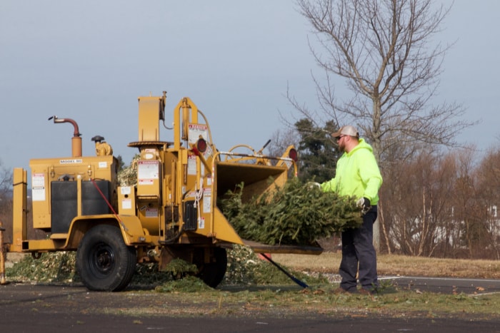 Warminster, Pennsylvanie, États-Unis - 6 février 2019 : Après les vacances, les arbres de Noël sont broyés en paillis par un broyeur à bois par des employés municipaux.