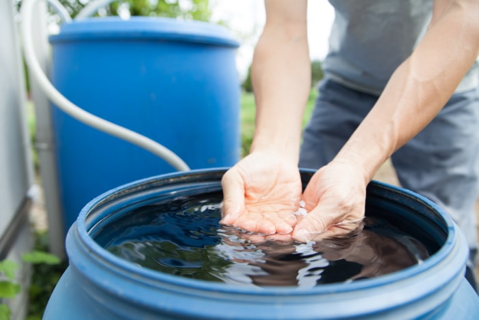 les mains d'un jeune homme récupèrent de l'eau d'un tonneau de pluie