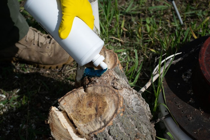 L'herbicide Tordon, un produit à usage unique