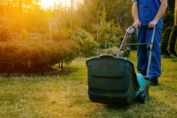 Utilisation d'un scarificateur dans le jardin.