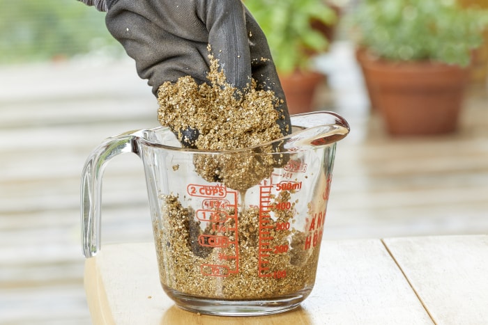 Un jardinier avec un gant noir sent la vermiculite dans une tasse à mesurer.