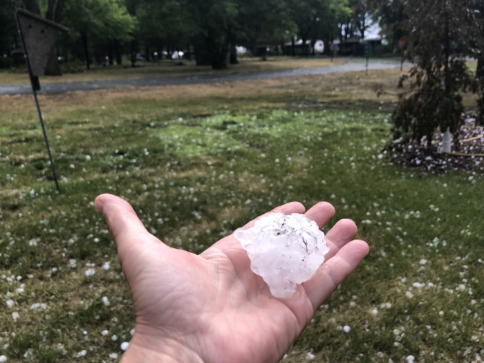 Une main tient une pierre de grêle de la taille d'une balle de golf devant une pelouse parsemée de pierres de grêle éparses.