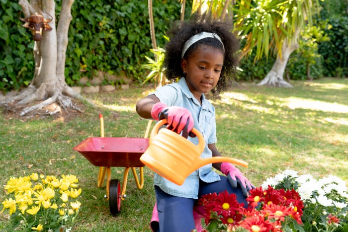 iStock-1226230243 jardin de fleurs coupées jeune fille arrosant des fleurs.jpg