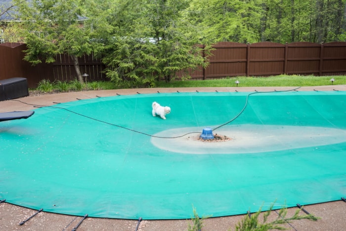 Coût d'une piscine creusée Coûts supplémentaires