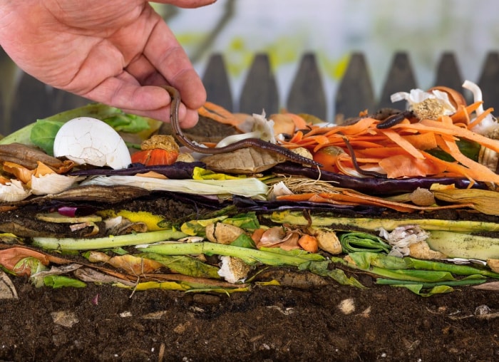 10 façons dont votre jardin peut lutter contre le changement climatique