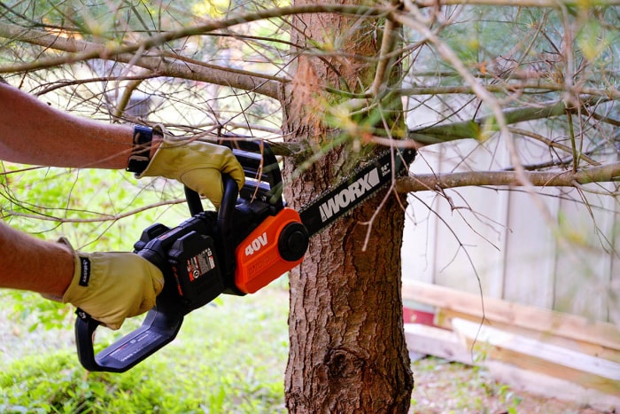 Quelqu'un utilise une tronçonneuse pour enlever une branche d'un arbre