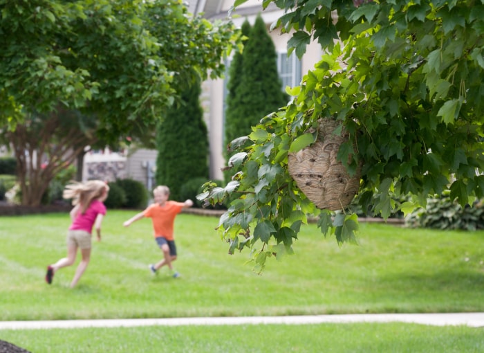 14 façons de sécuriser votre jardin pour les enfants