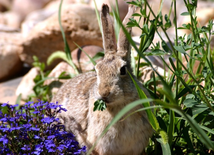 8 choses à savoir avant de mettre les pieds dans un magasin de plantes