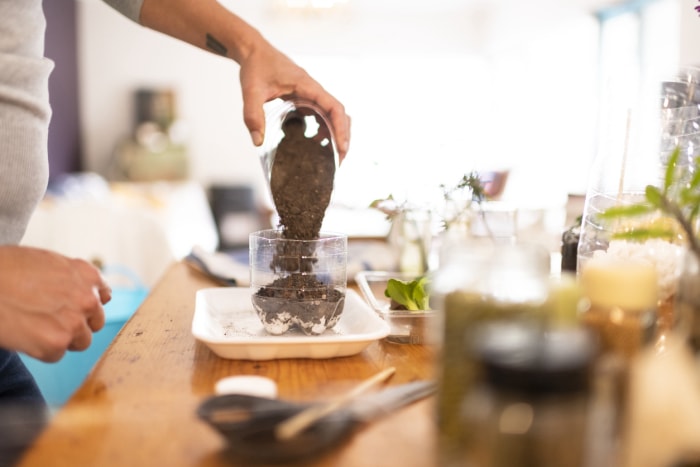 iStock-1223201684 jardinage biologique tiips gros plan versant de la terre dans une bouteille en plastique pour les semis