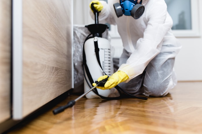 Une personne porte un équipement de protection et un masque respiratoire pour pulvériser des pesticides à domicile.