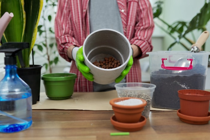 Houseplants, green eco urban trends. Close-up care of indoor plants, transplantation, fertilization. On the table are pots, soil, expanded clay, perlite, vermiculite, fertilizers, sprayer