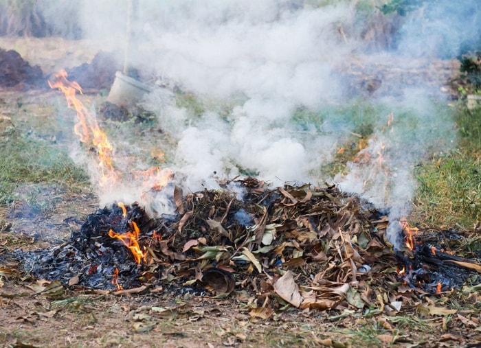 Les choses à faire et à ne pas faire pour nettoyer les feuilles