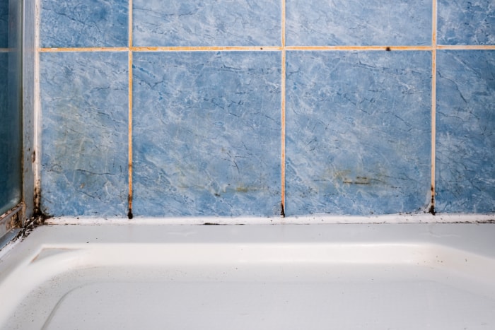 gros plan sur un mur carrelé bleu au-dessus de la baignoire dans la salle de bain avec du coulis sale et de la moisissure