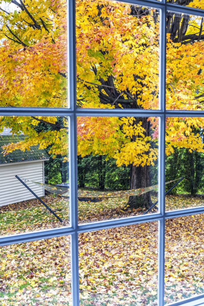 Quand et comment utiliser un souffleur de feuilles