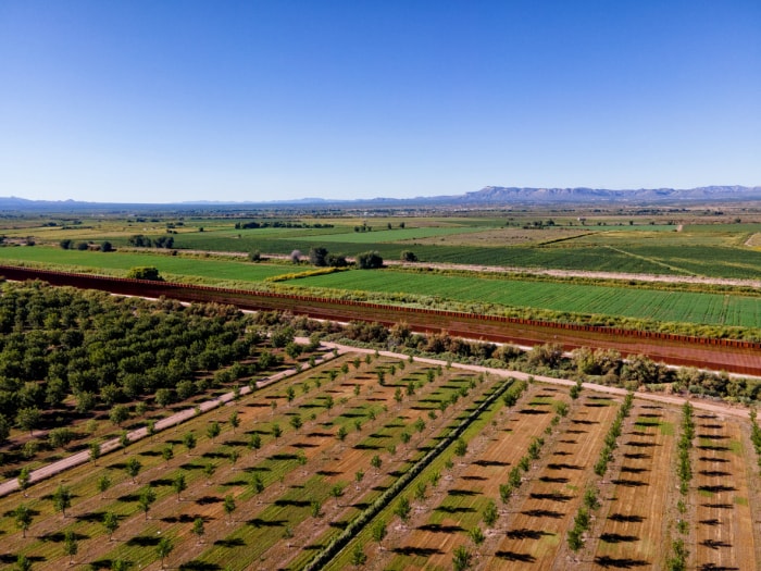 iStock-1465157796 cheapest places to buy land Border Wall Between Chihuahua Mexico and Texas at Fort Hancock with Orchard and Agricultural Fields on a Sunny Late Afternoon (en anglais seulement)