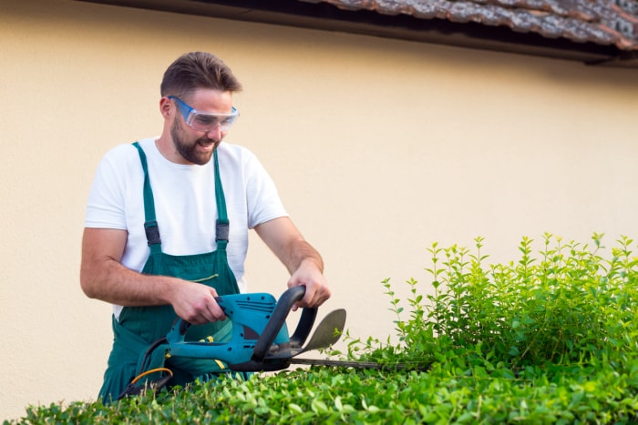 10 raisons pour lesquelles le jardinage peut vous rendre malade