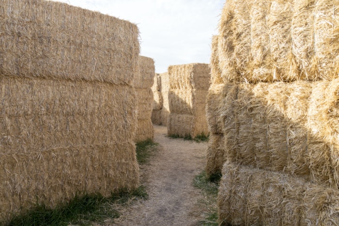 labyrinthe de bottes de paille