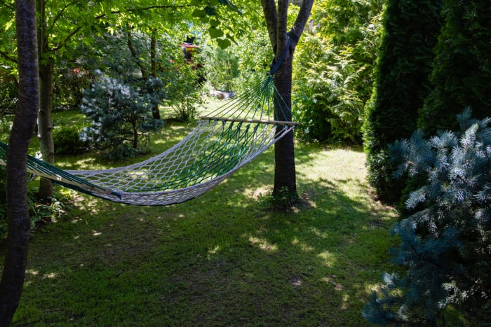 Un hamac suspendu entre des arbres ombragés.