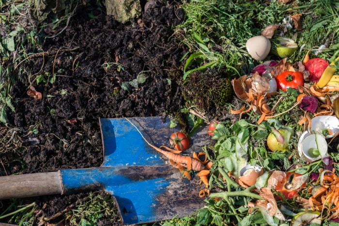 qu'est-ce que la farine de sang, la pelle qui déplace le compost dans le sol