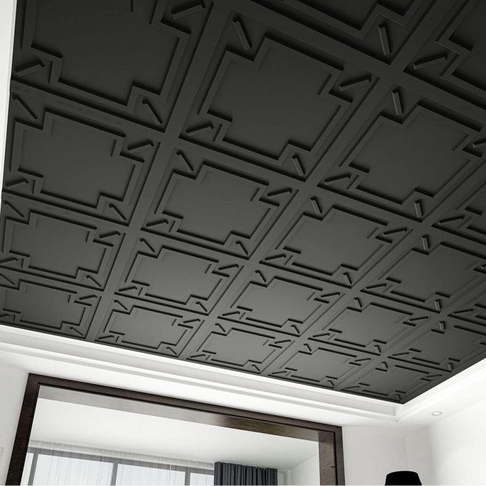 Plafond suspendu noir.