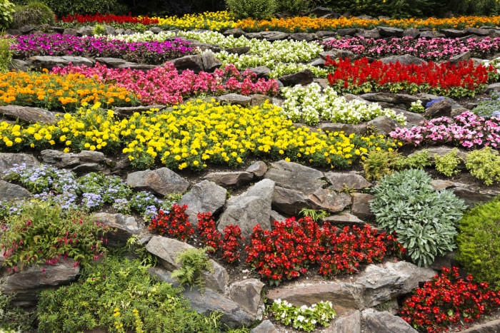 Un jardin de rocaille rempli de fleurs et de plantes colorées.