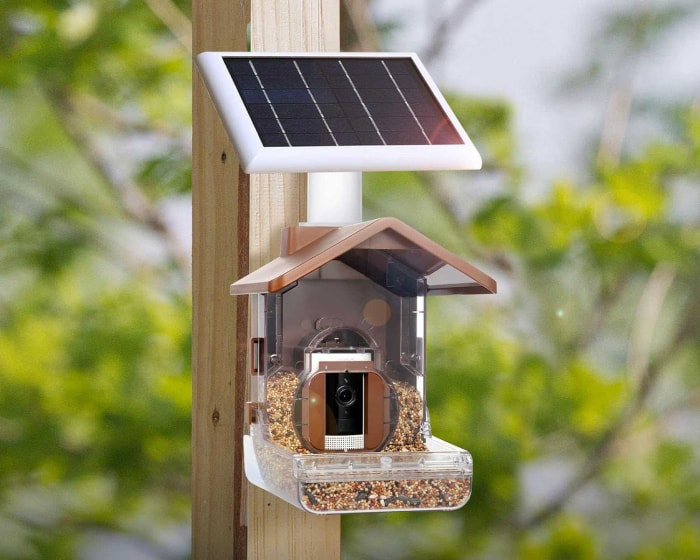 Ce dont tout ornithologue a besoin pour son jardin Option Wasserstein Bird Feeder Camera Case