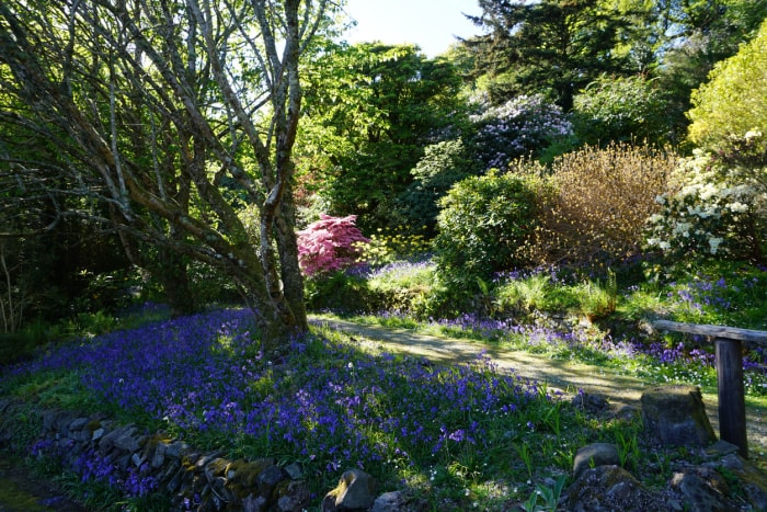 Jardin sous bois