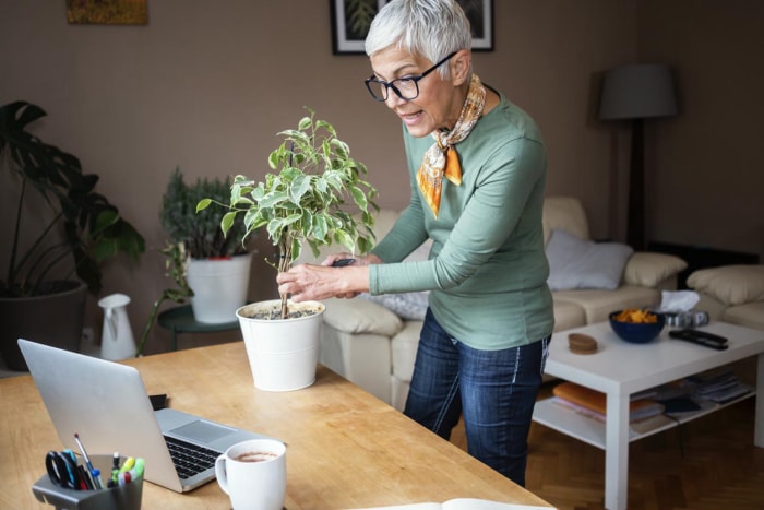 Les meilleures options de cours de jardinage en ligne