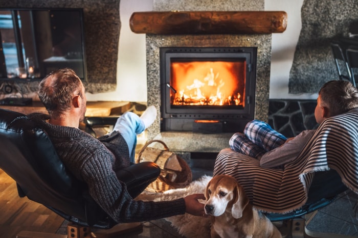 Père avec fils et chien assis dans des fauteuils confortables dans leur chaleureuse maison de campagne près de la cheminée.