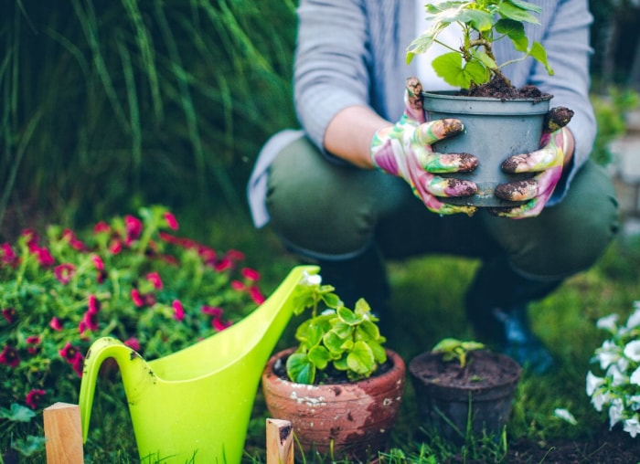 10 astuces intelligentes pour récupérer des objets gratuits pour votre maison