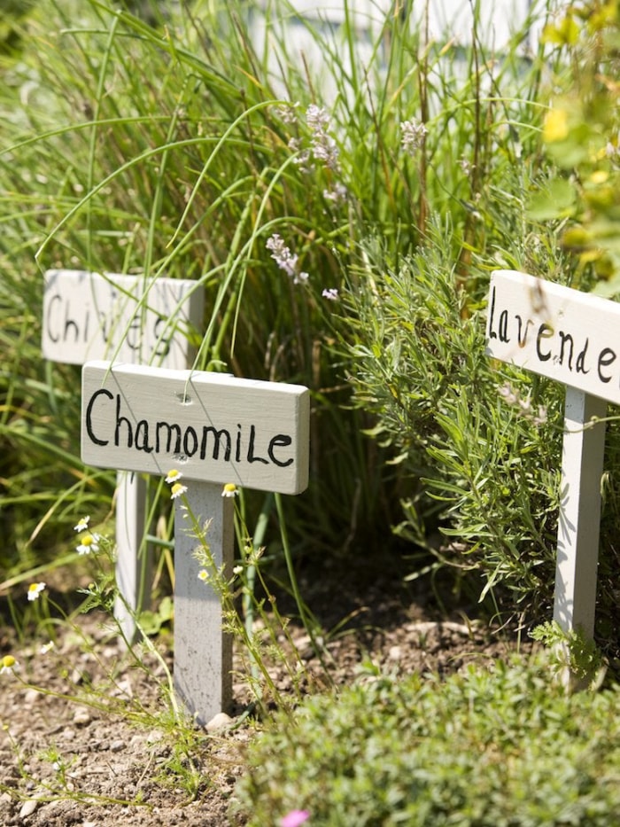 25 façons d'embellir votre jardin sans rien planter