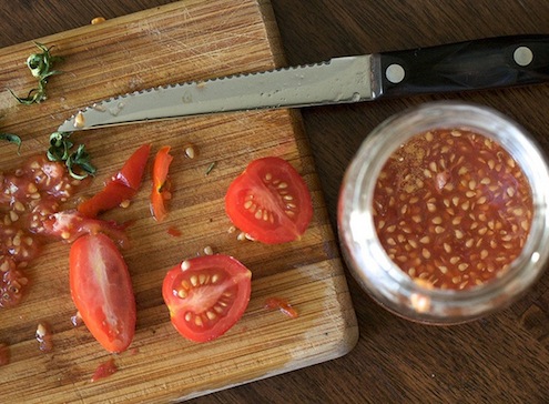 conserver les graines de tomates pour les planter