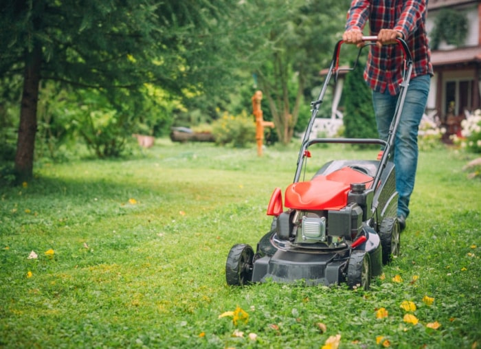 10 moyens faciles de trouver (ou plus !) dans la maison