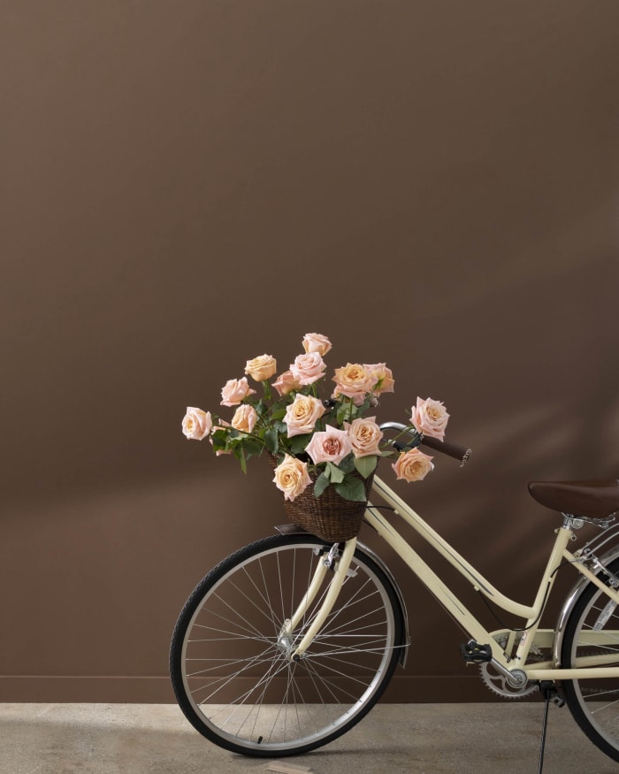 vélo avec des fleurs dans un panier devant un mur marron