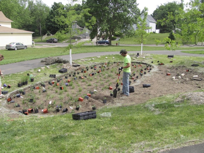 Un homme supervise la plantation d'un jardin pluvial communautaire à Northfield, Minnesota