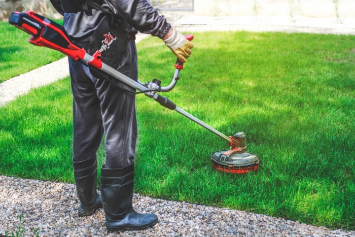 Personne utilisant une tondeuse à gazon sur une pelouse verte.