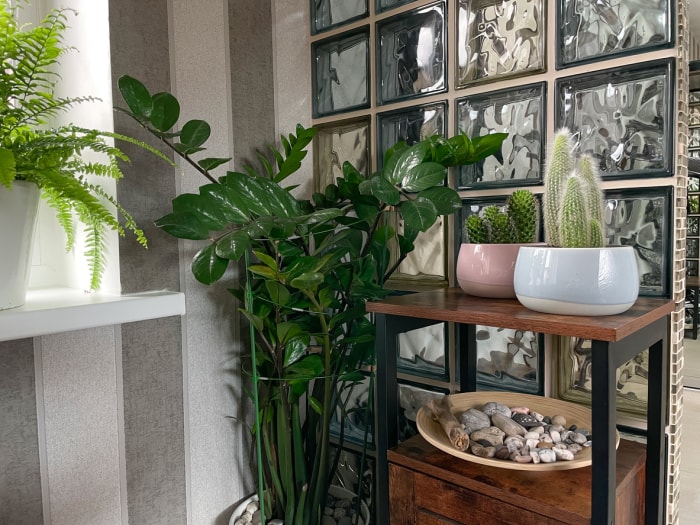 intérieur avec fenêtres en briques de verre et plantes