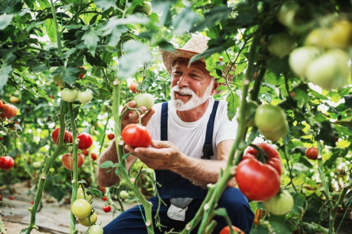 Quel genre de jardinier êtes-vous ?