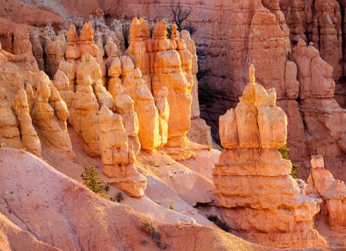 Les meilleurs endroits pour voir le lever du soleil aux États-Unis