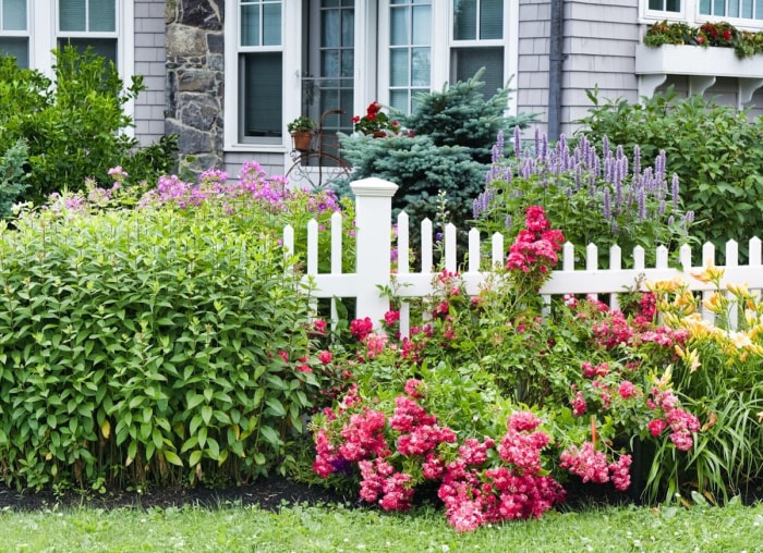 25 plantes faciles à utiliser pour un aménagement paysager à toute épreuve