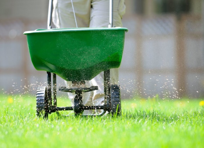 Les meilleures choses que vous pouvez faire pour votre jardin cet automne