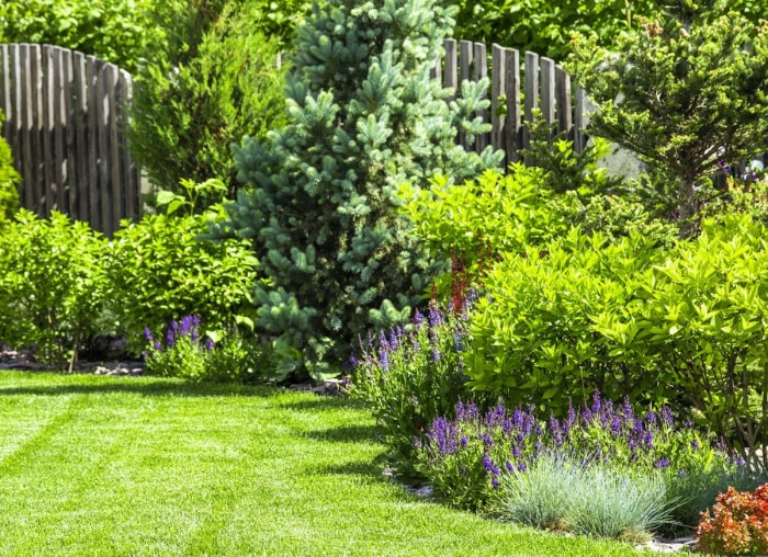 12 façons d’être un bon voisin pour la faune de votre jardin