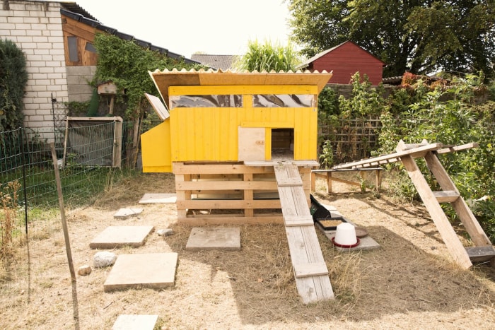 Un poulailler jaune et coloré dans une cour de banlieue.