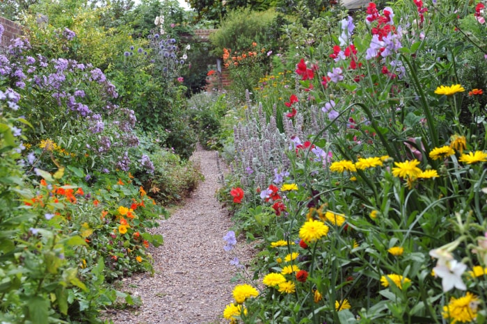 Jardin sous bois