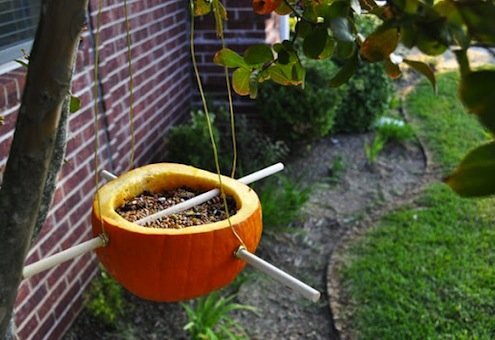 Mangeoire à oiseaux en forme de citrouille