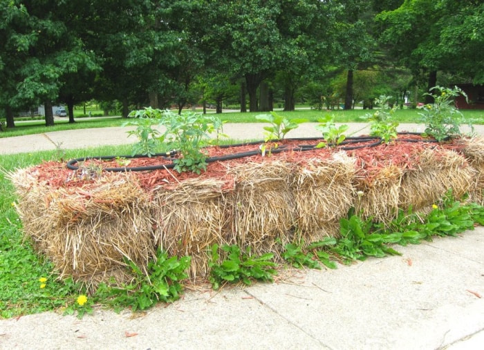 19 trucs de jardinage à prix zéro